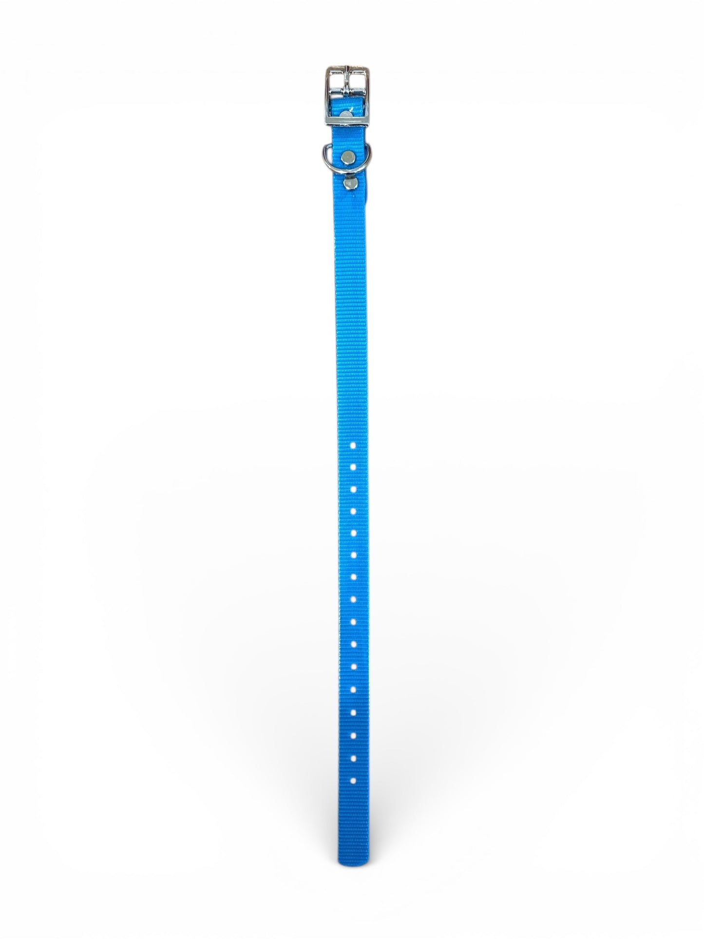 HOS 3/4" Solid Premium D Ring Dog Collar