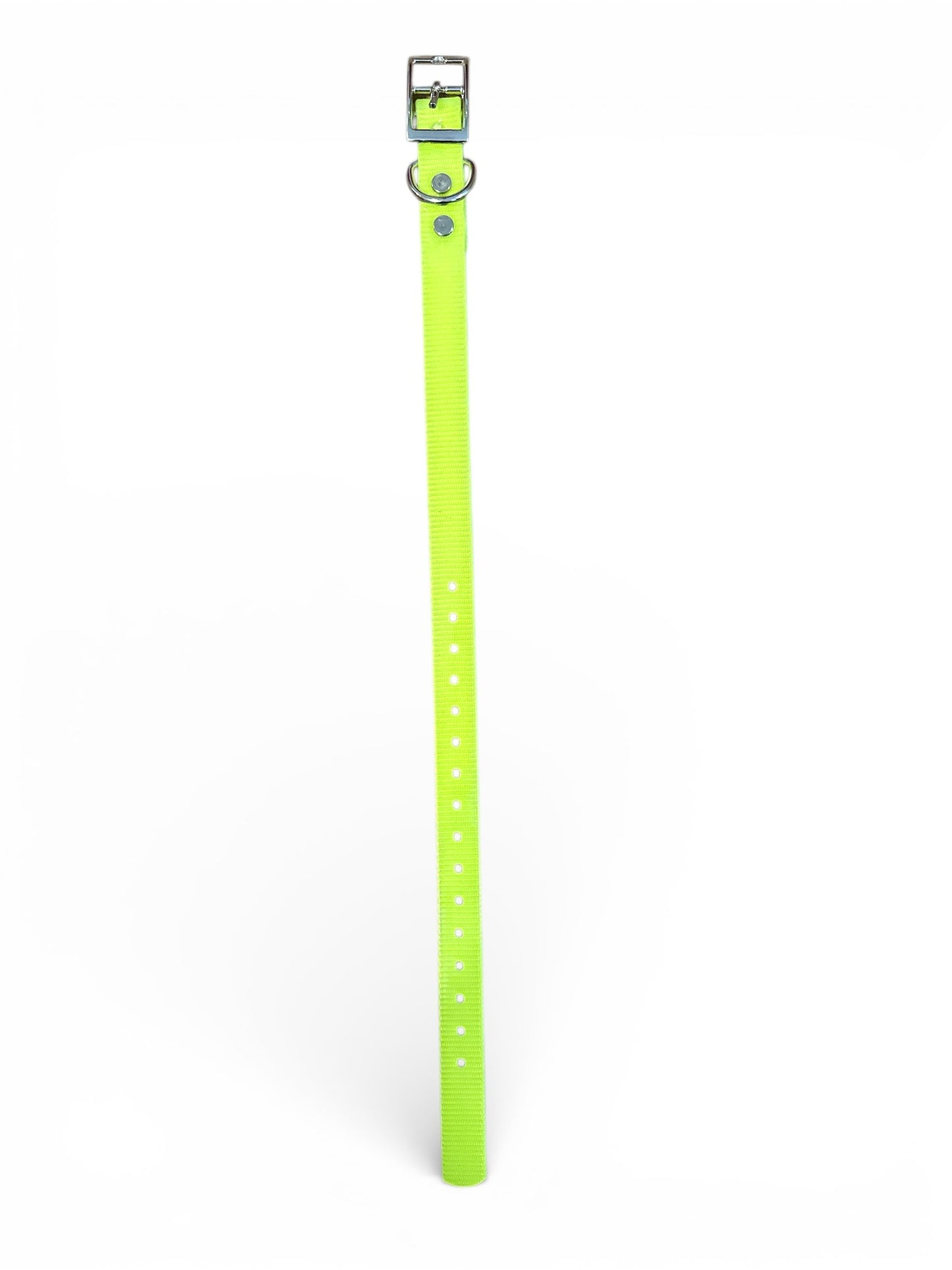HOS 3/4" Solid Premium D Ring Dog Collar