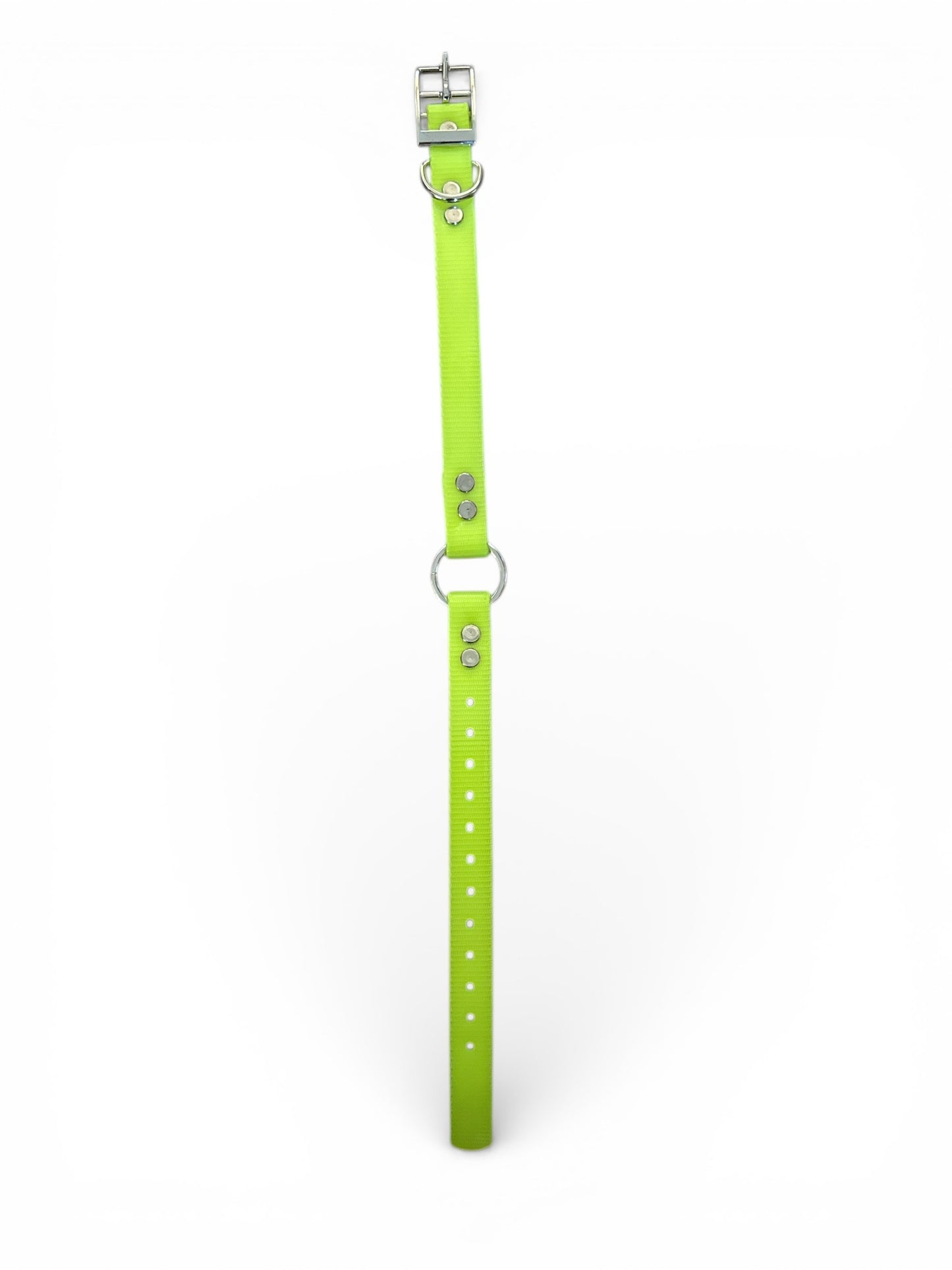 HOS 3/4" Solid Premium Center Ring Dog Collar