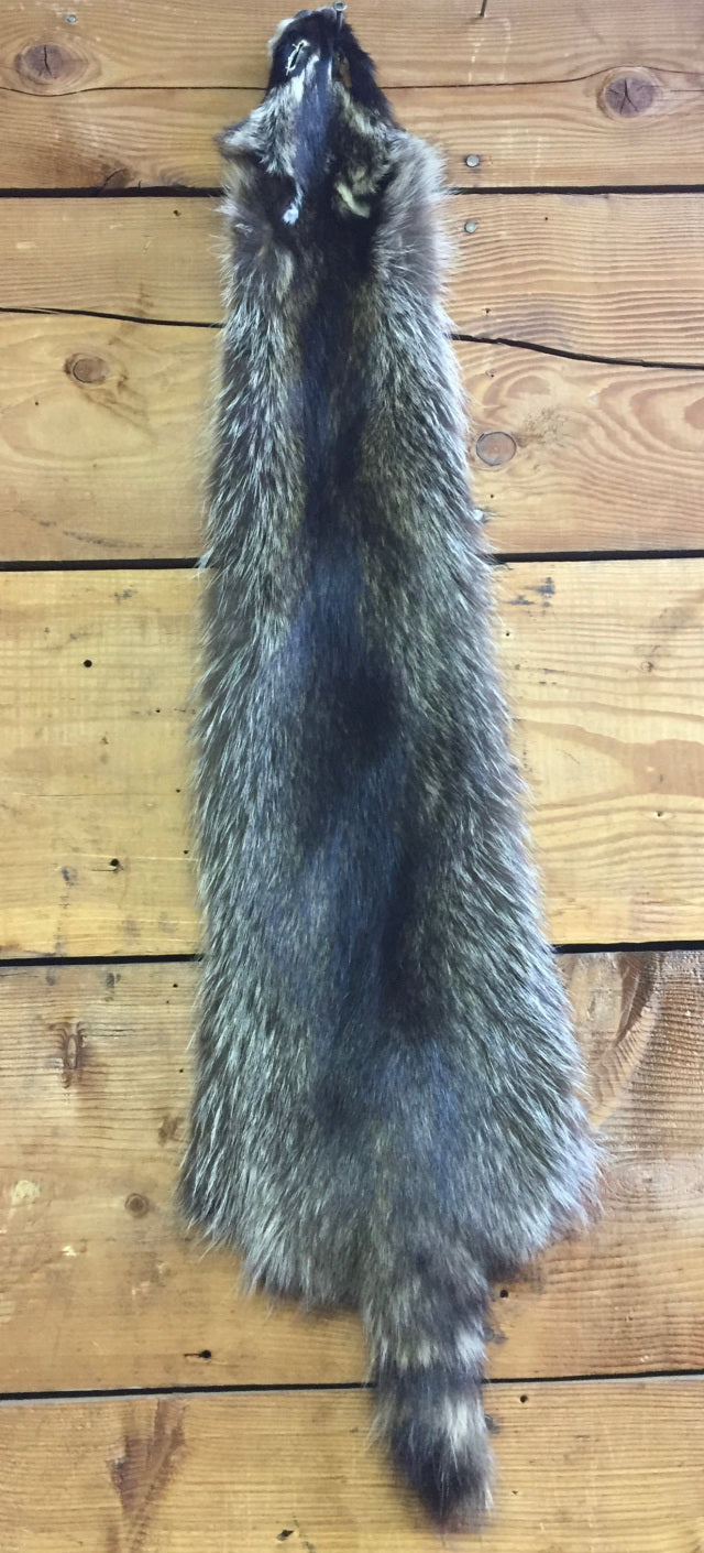 Tanned Raccoon Hides
