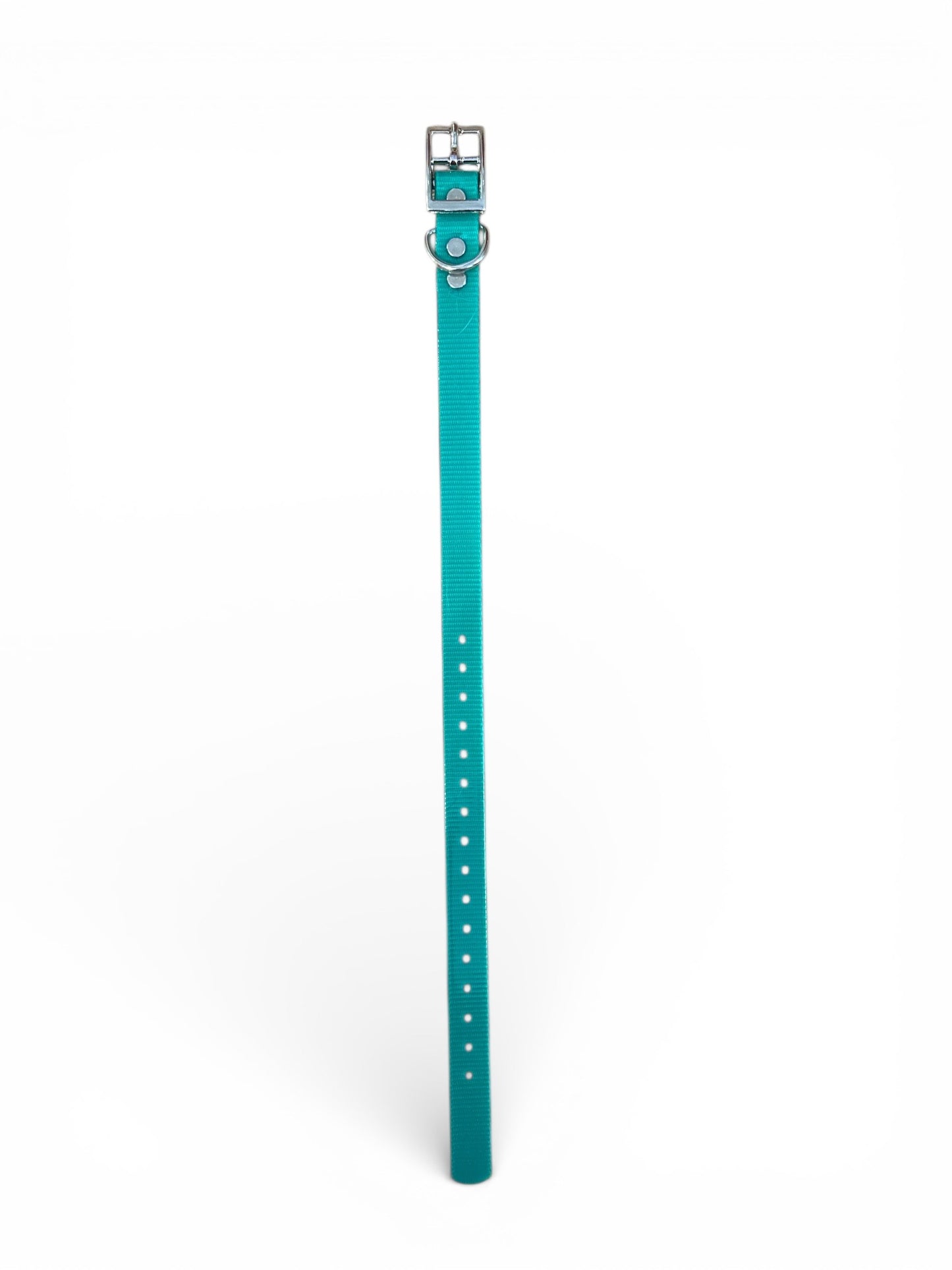 HOS 3/4" Solid Premium D Ring Dog Collar