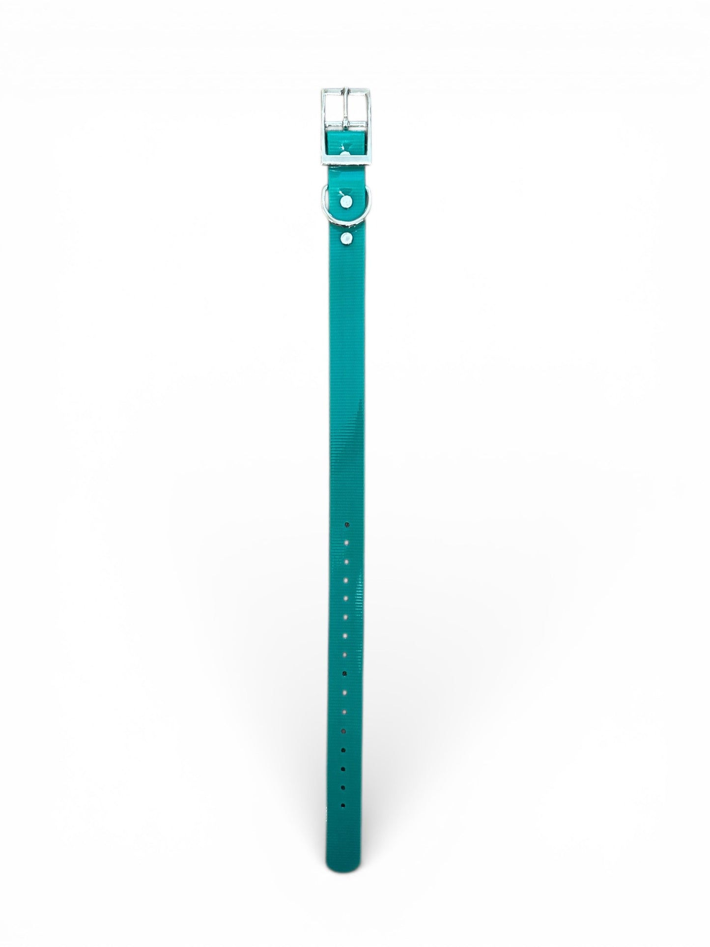 HOS 1" Solid Premium D Ring Dog Collar