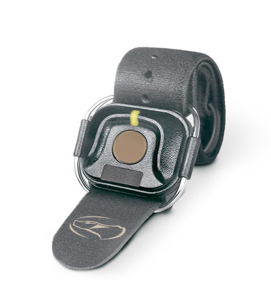 Dogtra Handsfree Squre