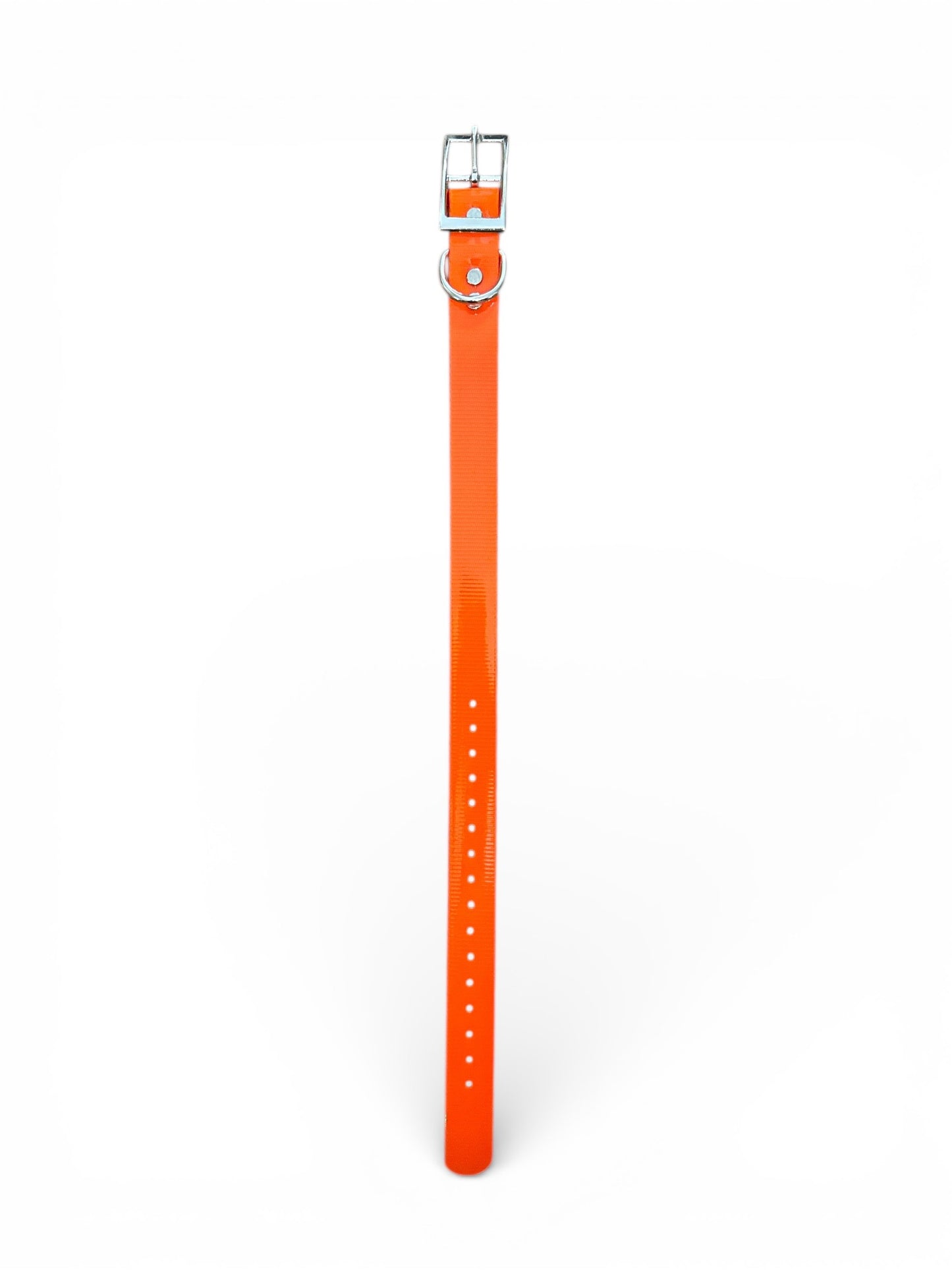 HOS 1" Solid Premium D Ring Dog Collar