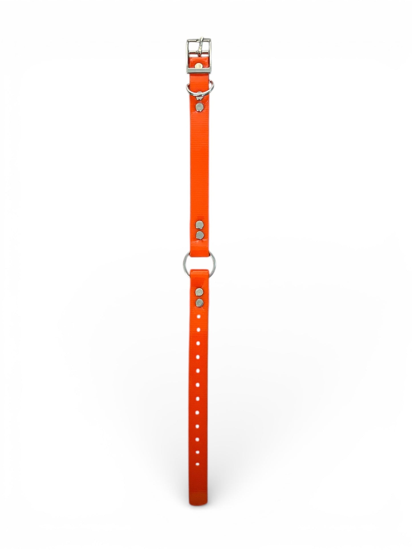 HOS 3/4" Solid Premium Center Ring Dog Collar