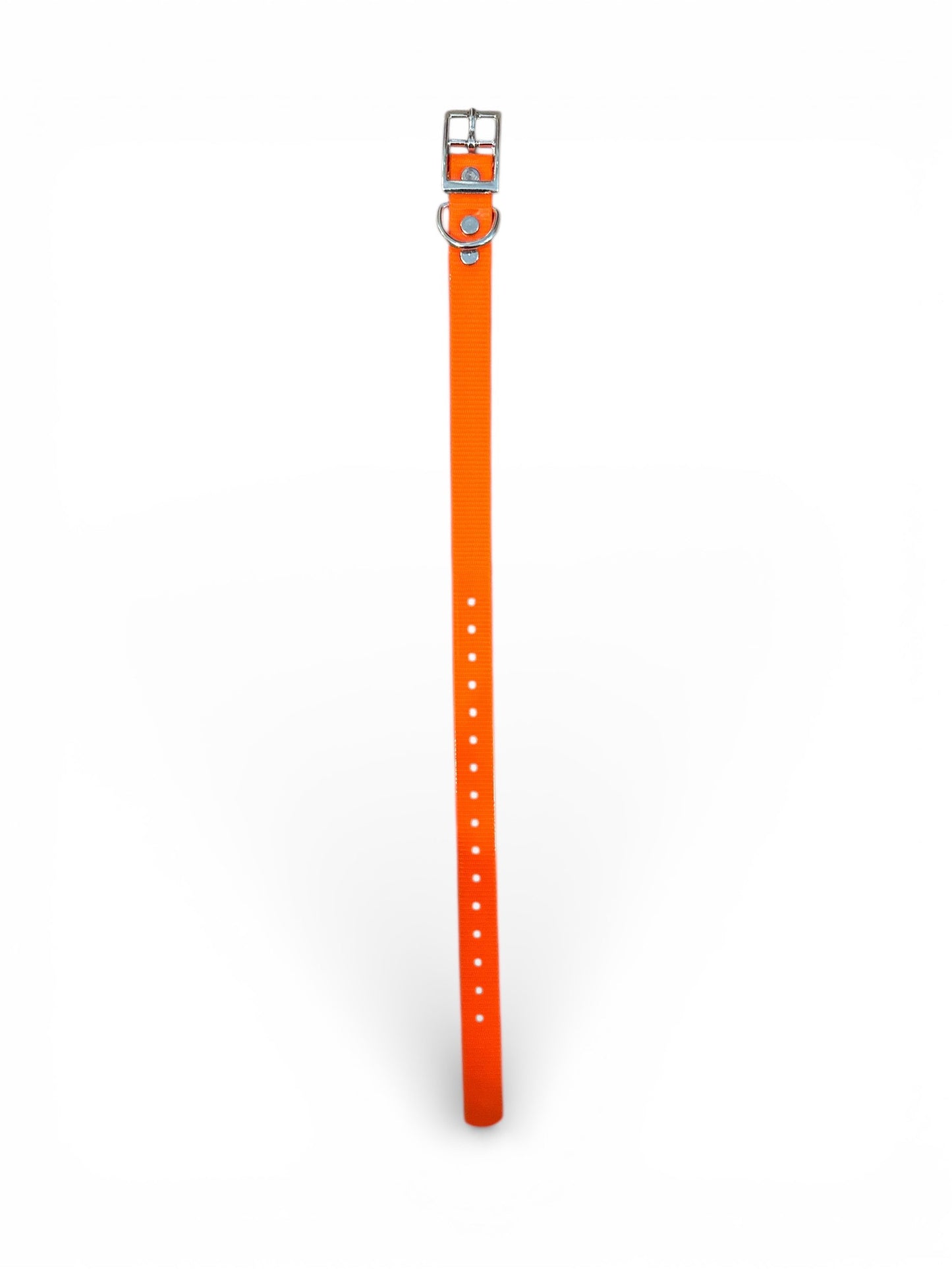 HOS 3/4" Solid Premium D Ring Dog Collar
