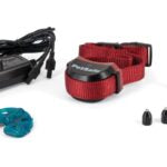 PetSafe Stay & Play Stubborn Dog Additional Collar