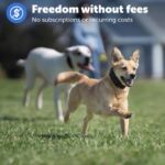 Petsafe Guardian® GPS Dog Fence Collar – No subscription needed
