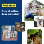 Petsafe Guardian® GPS Dog Fence Collar – No subscription needed