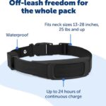 Petsafe Guardian® GPS Add-A-Dog® Collar
