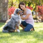PetSafe YardMax Rechargeable In-Ground Pet Fence System
