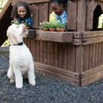 PetSafe YardMax Rechargeable In-Ground Pet Fence System