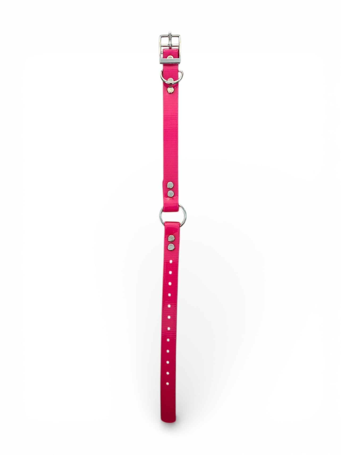 HOS 3/4" Solid Premium Center Ring Dog Collar