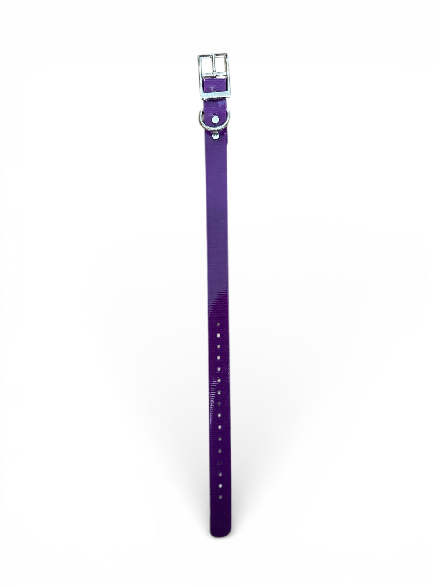 HOS 1" Solid Premium D Ring Dog Collar