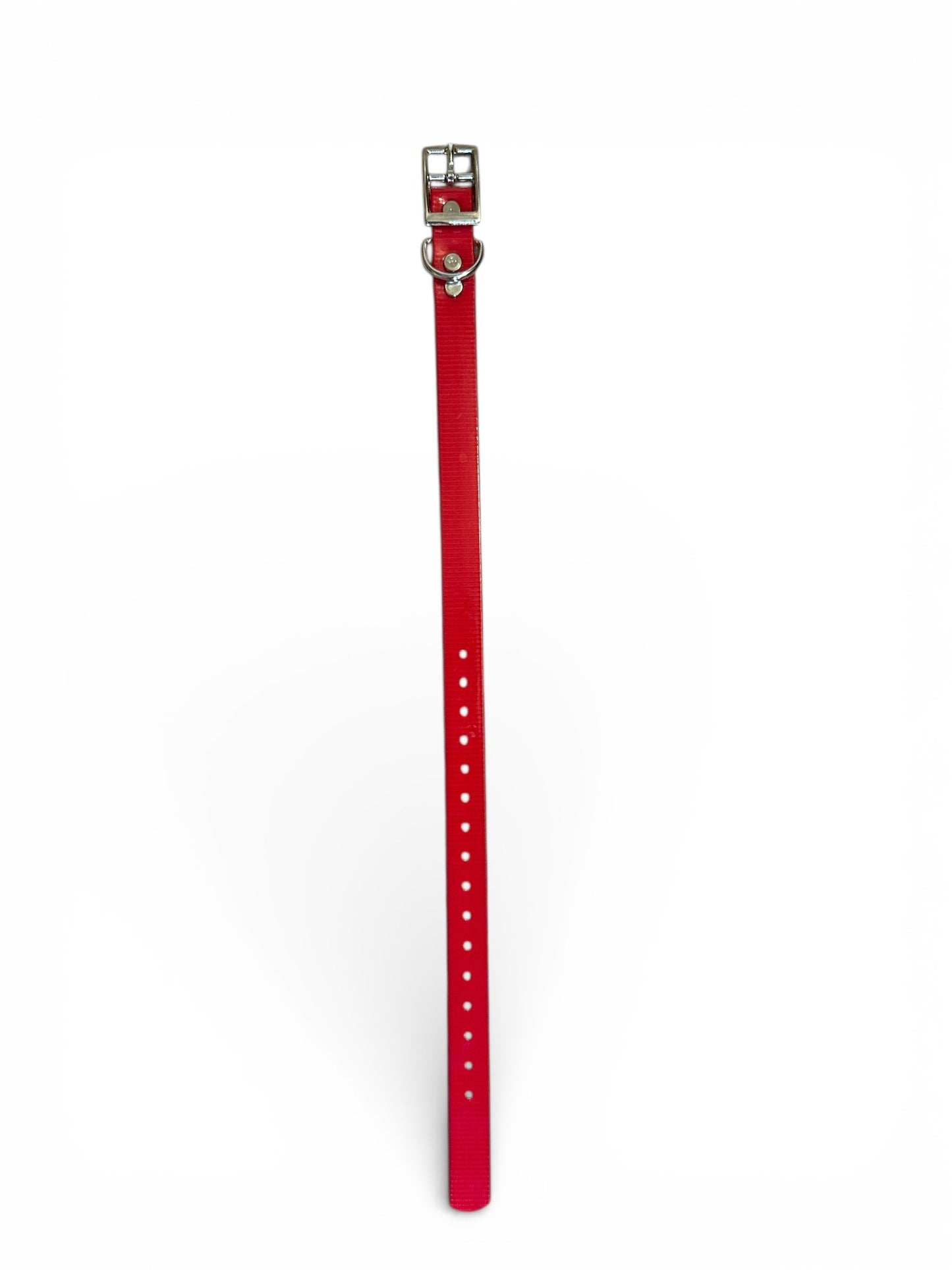 HOS 3/4" Solid Premium D Ring Dog Collar