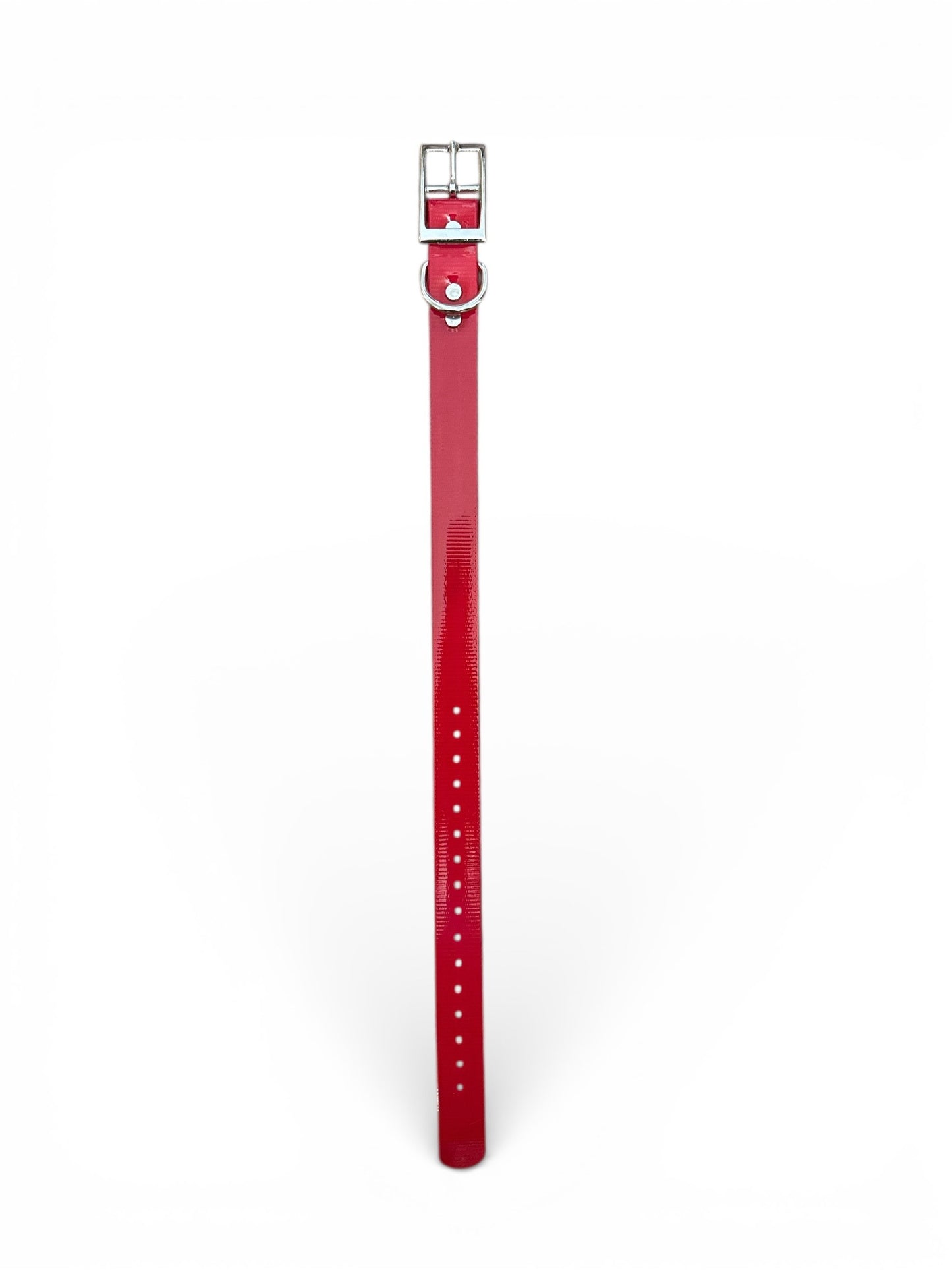 HOS 1" Solid Premium D Ring Dog Collar