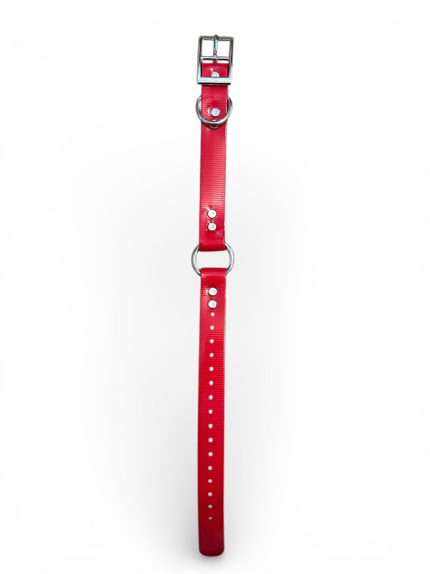 HOS 1" Solid Premium Center Ring Dog Collar