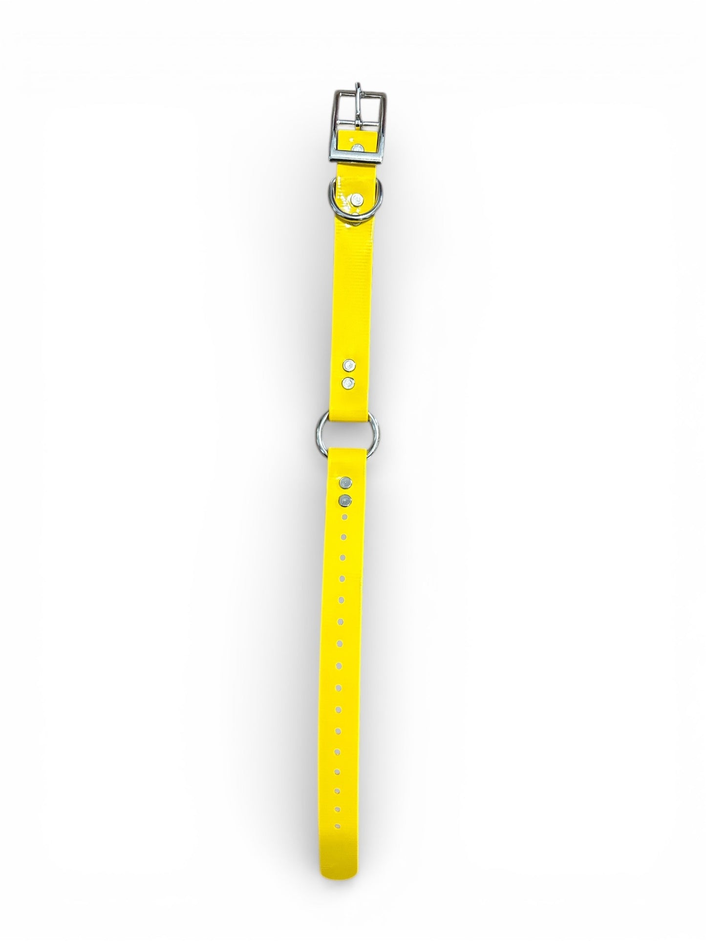 HOS 1" Solid Premium Center Ring Dog Collar