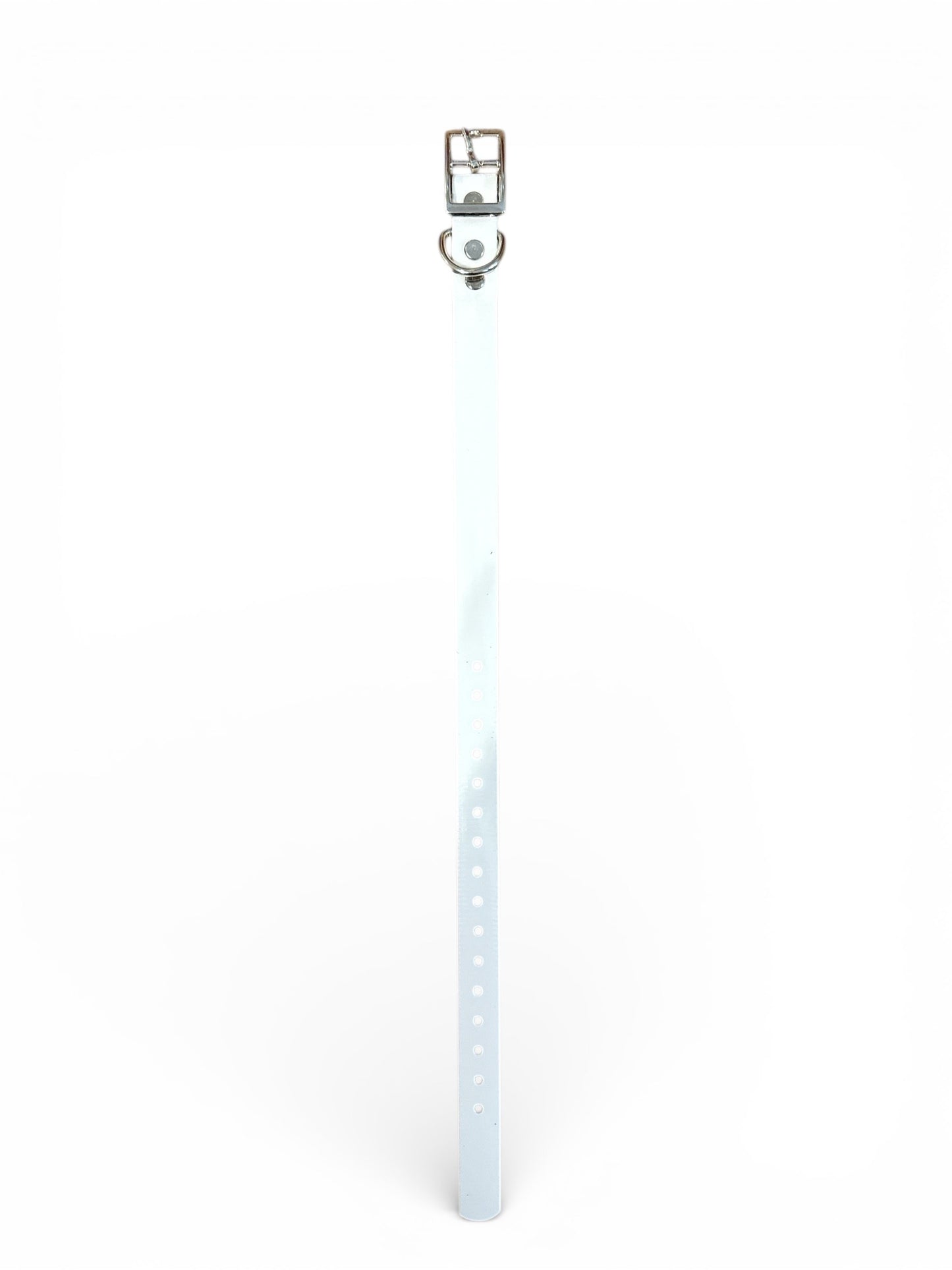 HOS 3/4" Solid Premium D Ring Dog Collar