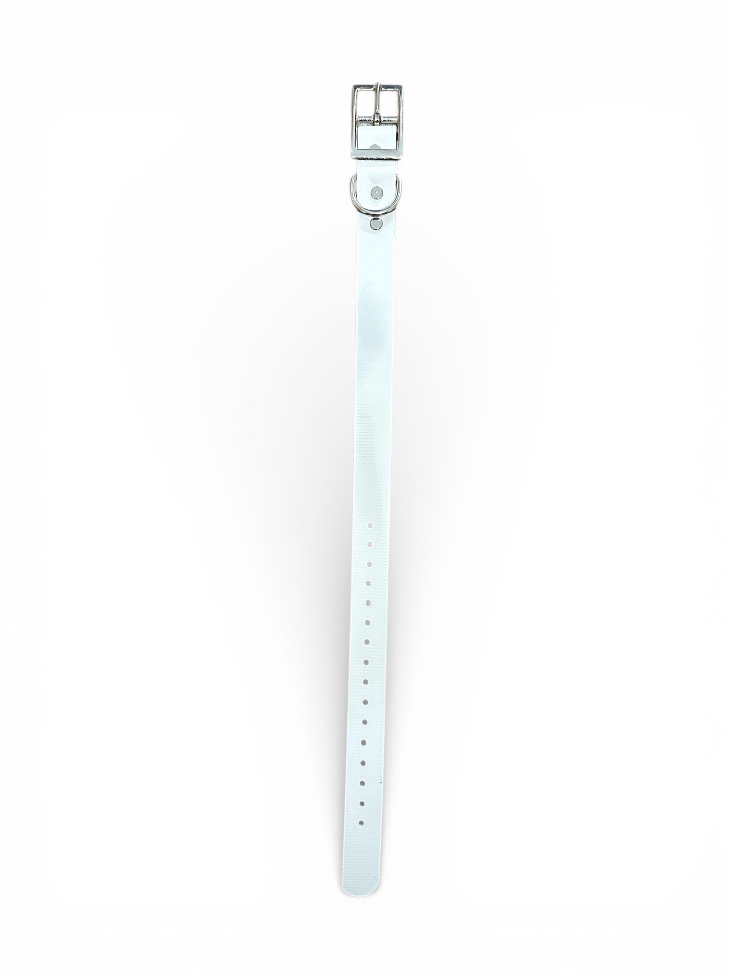 HOS 1" Solid Premium D Ring Dog Collar
