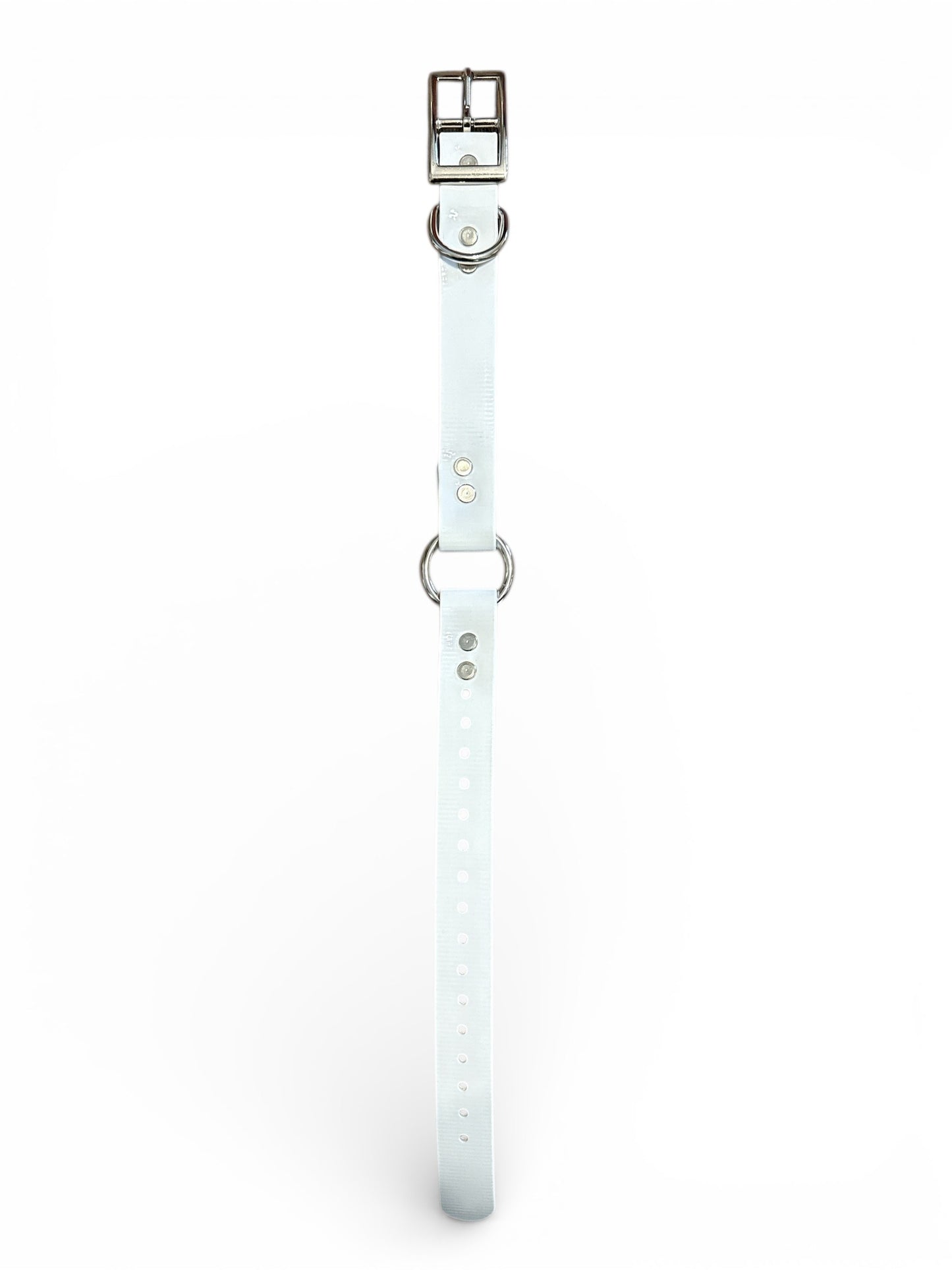 HOS 1" Solid Premium Center Ring Dog Collar