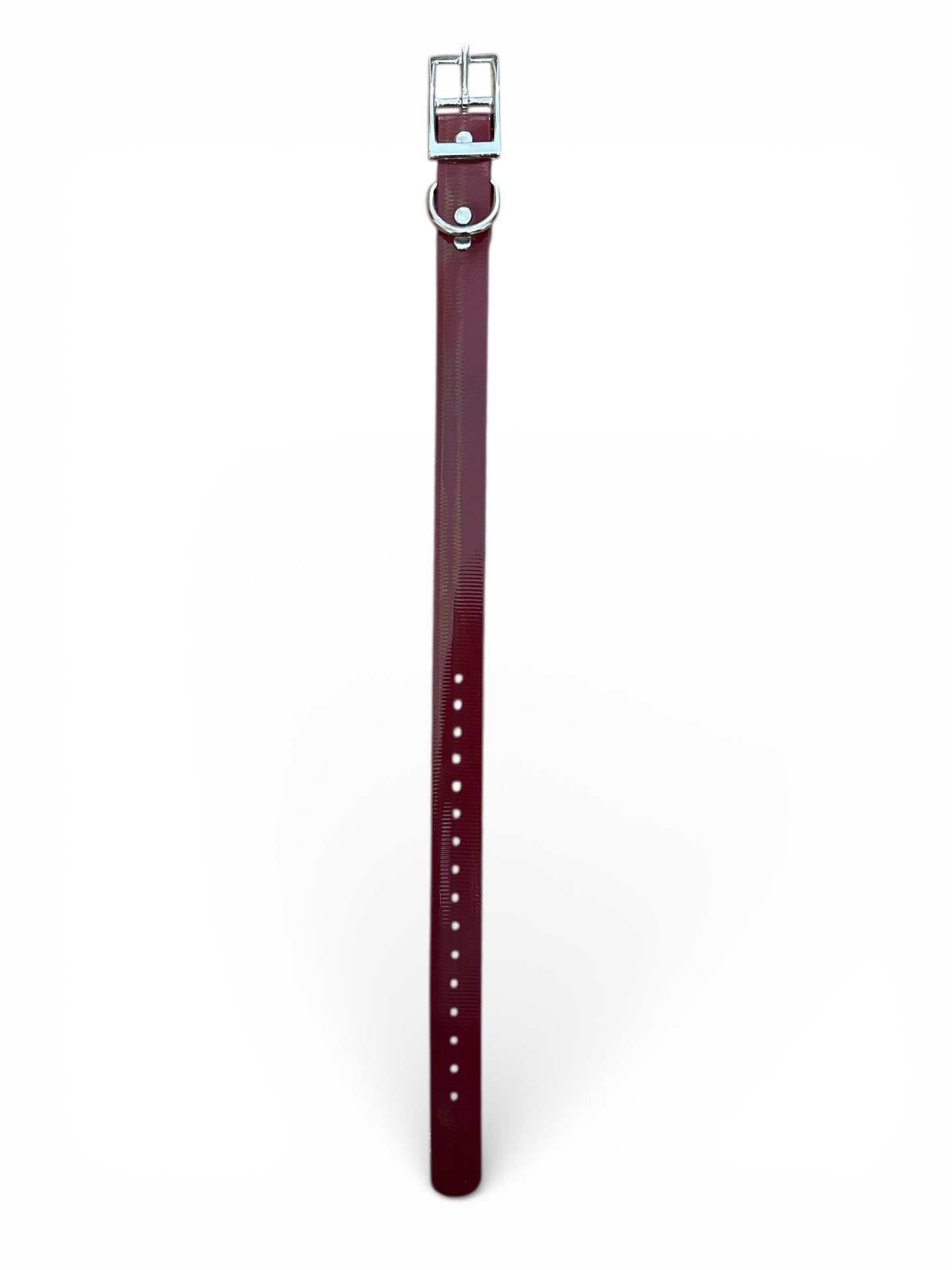HOS 1" Solid Premium D Ring Dog Collar