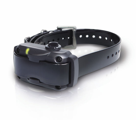 High-Powered Bark Collar