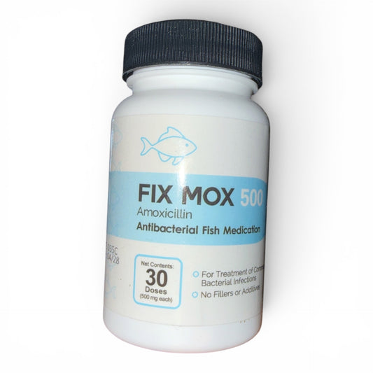 Fix Mox 500Mg 30Ct Amoxicillin