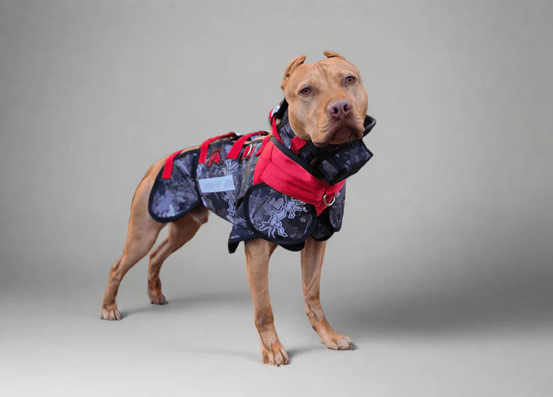Elite Catch Vest PRO- Attached Collar Extreme Protection