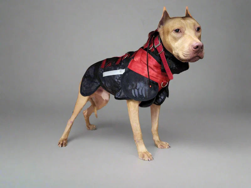 Elite Catch Vest PRO- Attached Collar Extreme Protection