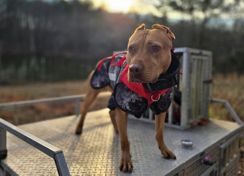 Elite Catch Vest PRO- Attached Collar Extreme Protection