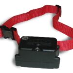 PetSafe Stubborn Dog In-Ground Fence Additional Collar