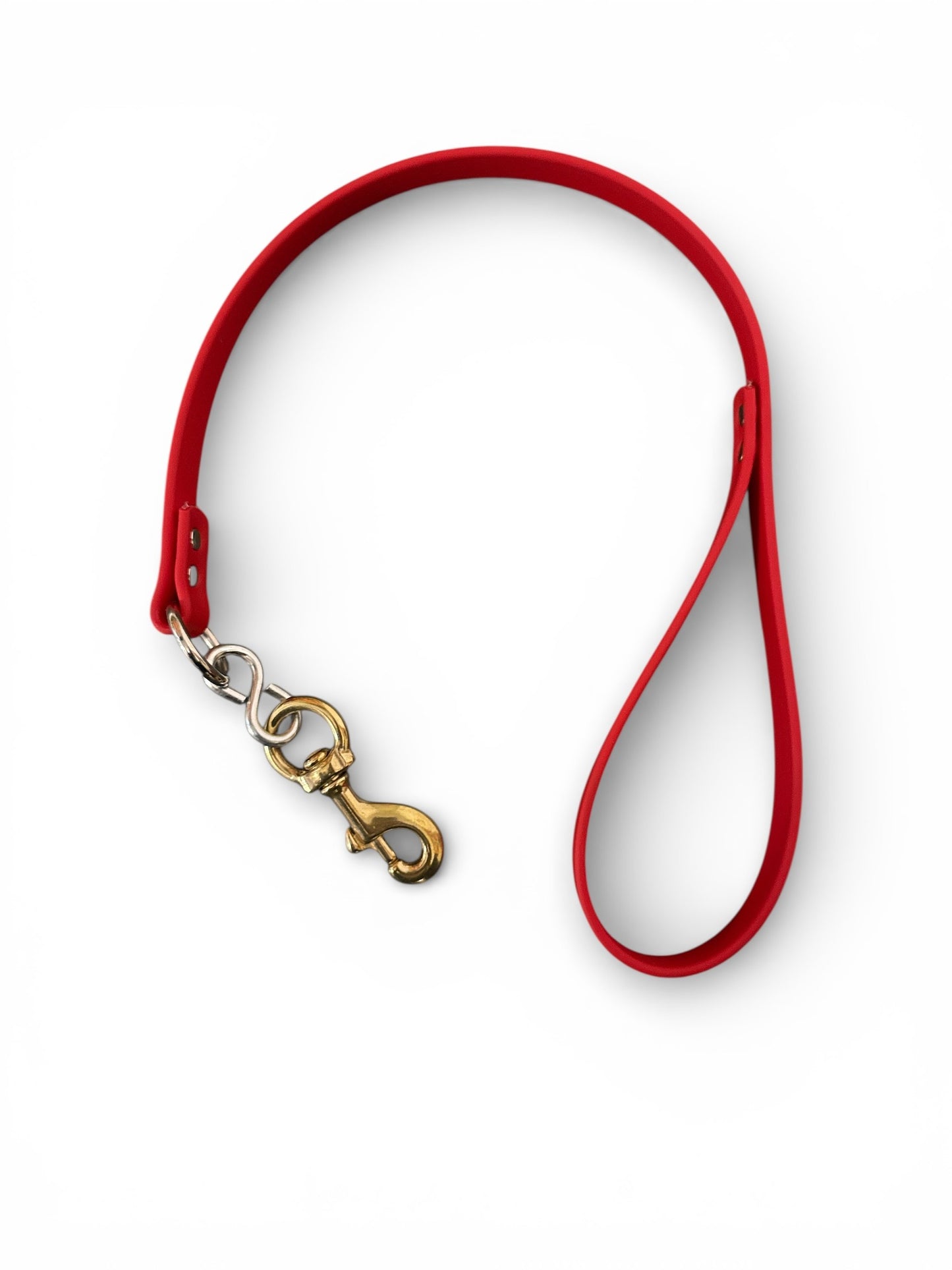 2 ft Beta Bully Lead