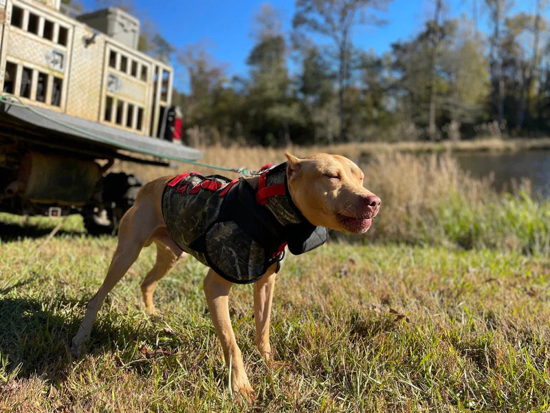Southern Cross Spec-Ops Catch PRO Vest- Attached Collar High Level Protection