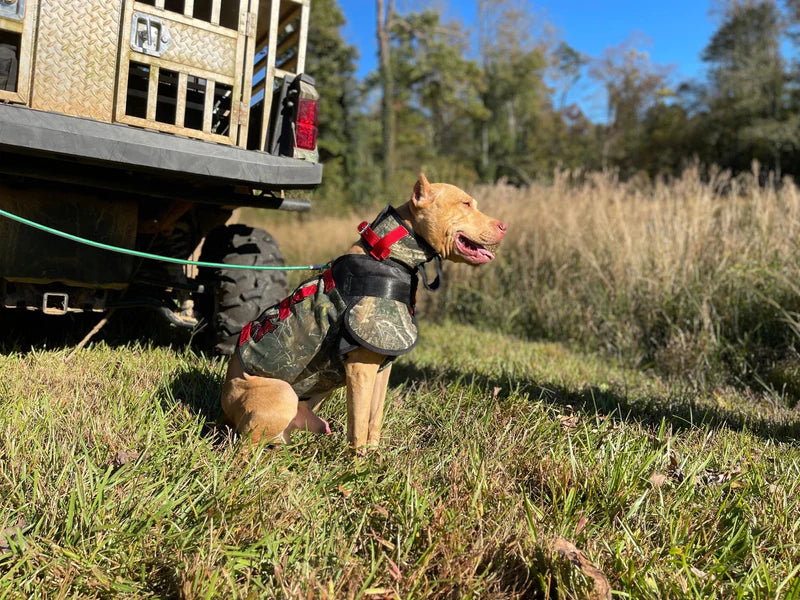Southern Cross Spec-Ops Catch PRO Vest- Attached Collar High Level Protection