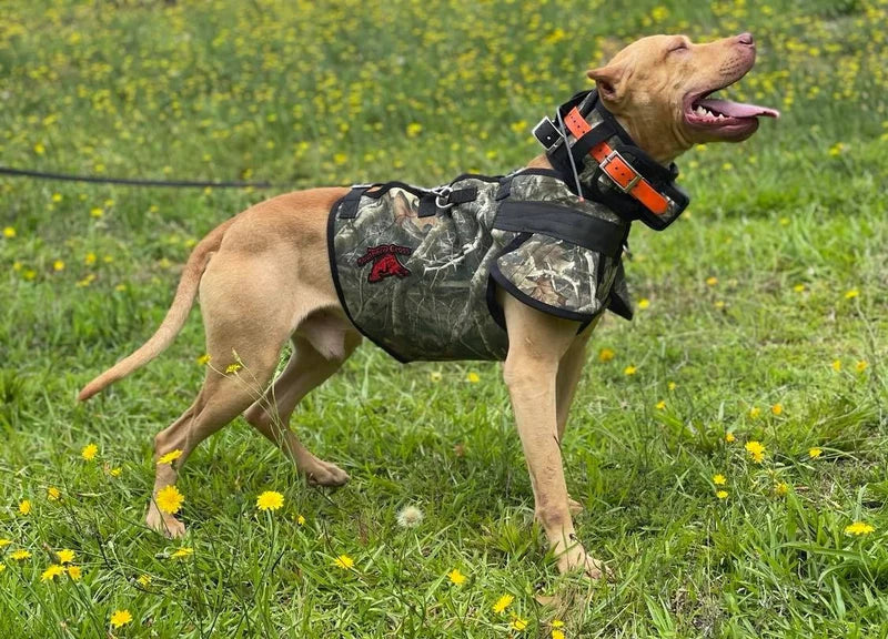 Southern Cross Ultra Flex Catch PRO Vest- Attached Collar/Leg Guards Lightweight