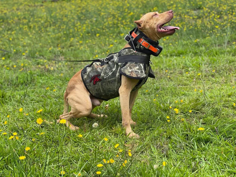 Southern Cross Ultra Flex Catch PRO Vest- Attached Collar/Leg Guards Lightweight